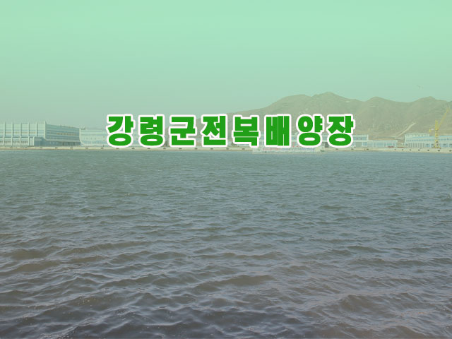 강령군전복배양장